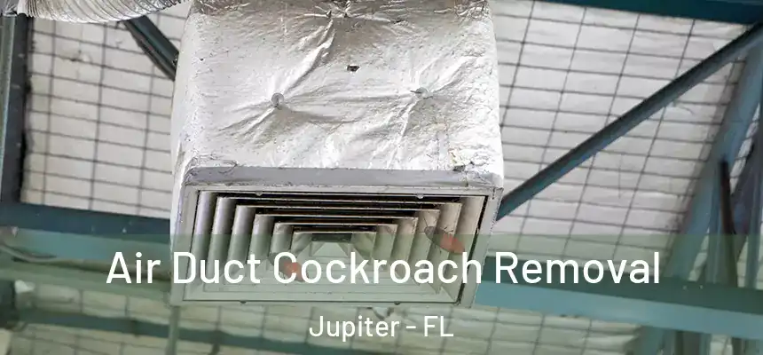 Air Duct Cockroach Removal Jupiter - FL