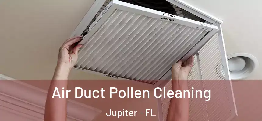 Air Duct Pollen Cleaning Jupiter - FL