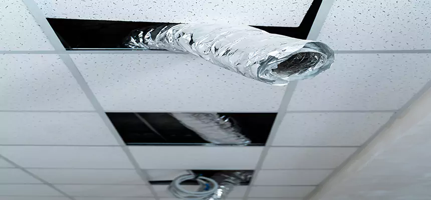 Affordable HVAC Sanitizing After Pest Removal in Jupiter