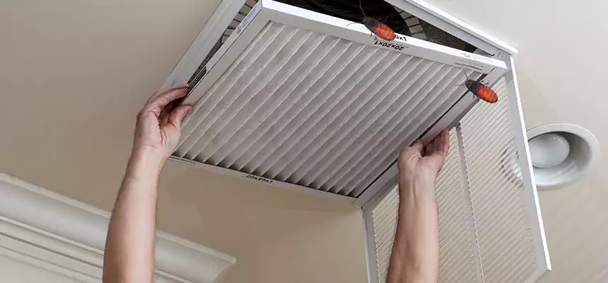 Our Insect Removal from Air Ducts Services in Jupiter, FL