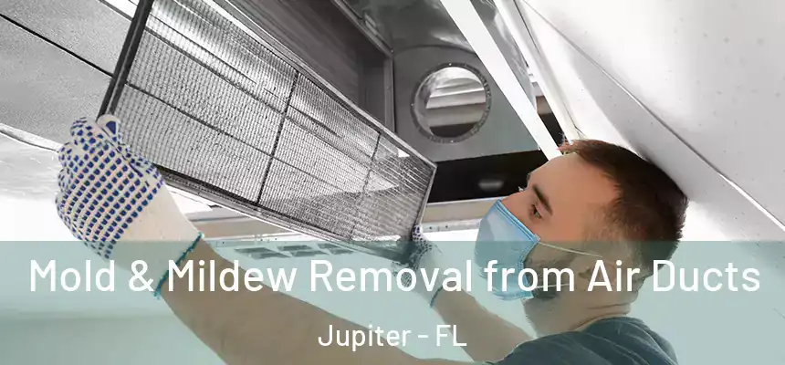  Mold & Mildew Removal from Air Ducts Jupiter - FL