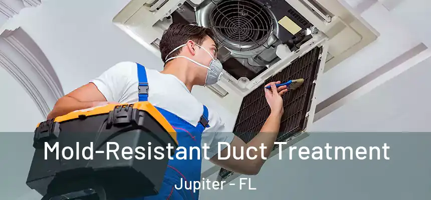  Mold-Resistant Duct Treatment Jupiter - FL
