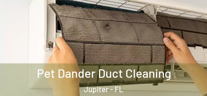 Pet Dander Duct Cleaning Jupiter - FL