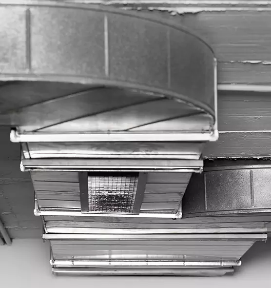 Professional Air Duct Pet Hair Removal in Jupiter, FL