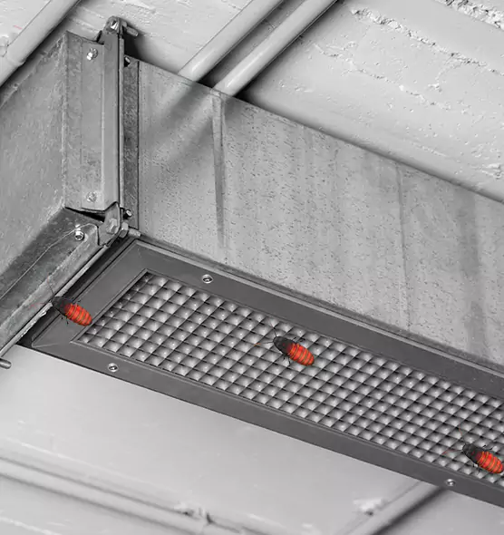 Affordable Insect Removal from Air Ducts in Jupiter, FL
