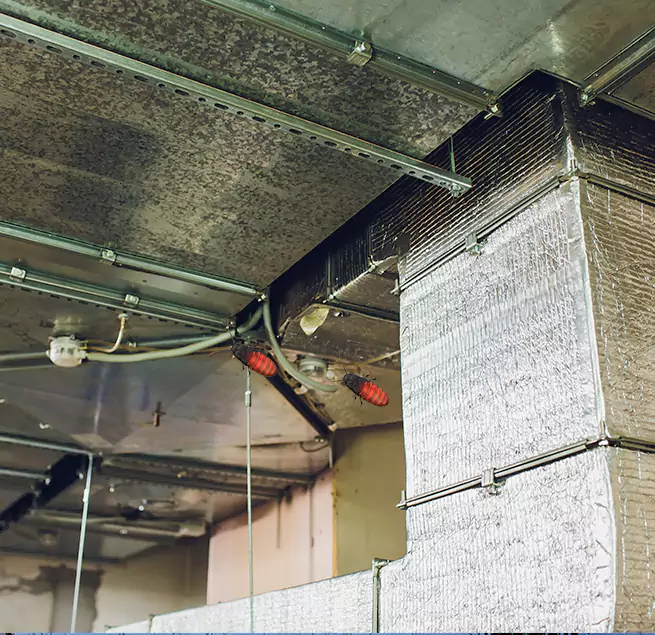 Why Homeowners & Businesses Trust Us in Jupiter, FL?