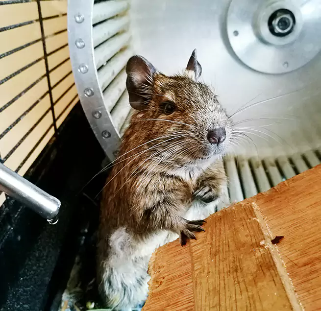 Why Homeowners & Businesses Trust Us Jupiter, FL