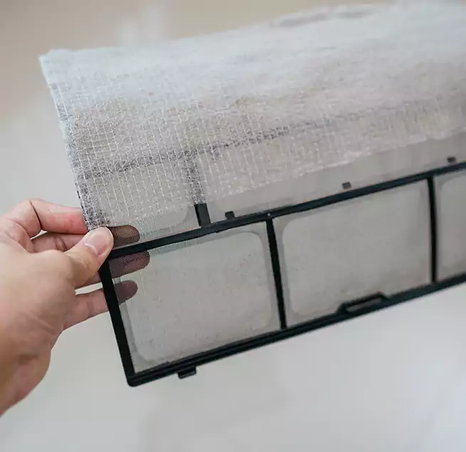 Why Homeowners & Businesses Trust Us in Jupiter, FL?