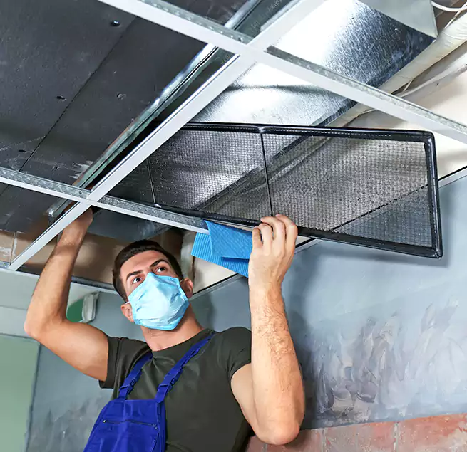 Why Homeowners Businesses Trust Us in Jupiter, FL